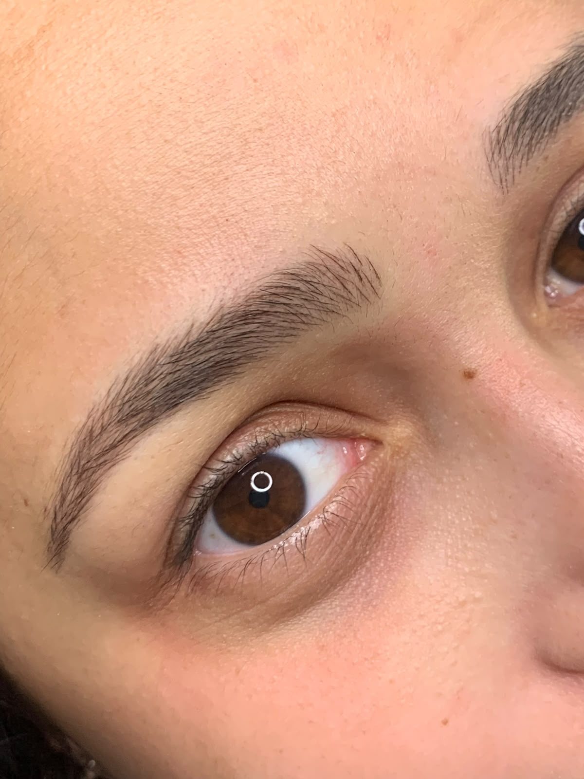 Fios naturais — Micropigmentação de sobrancelhas